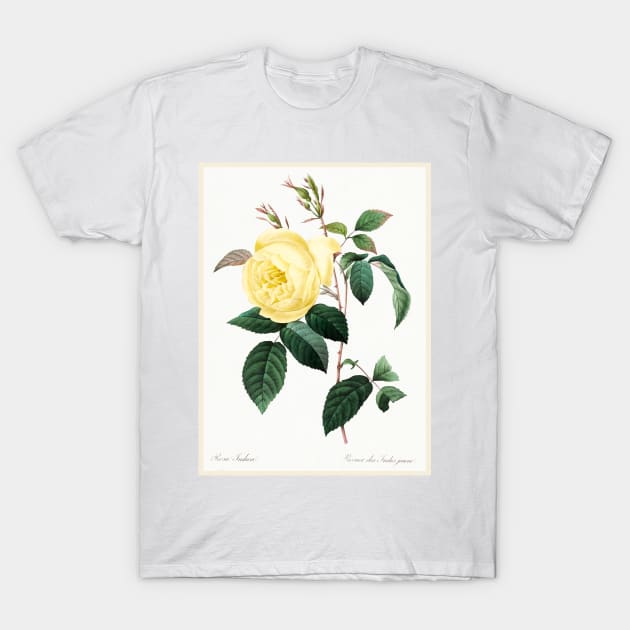 Yellow Rose T-Shirt by WAITE-SMITH VINTAGE ART